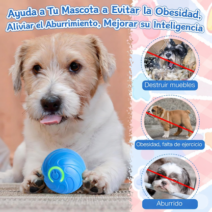 🐶 Interactive Anti-Boredom Dog Ball – Keep Your Pup Active & Happy