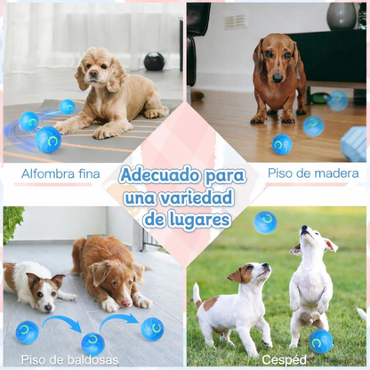 🐶 Interactive Anti-Boredom Dog Ball – Keep Your Pup Active & Happy