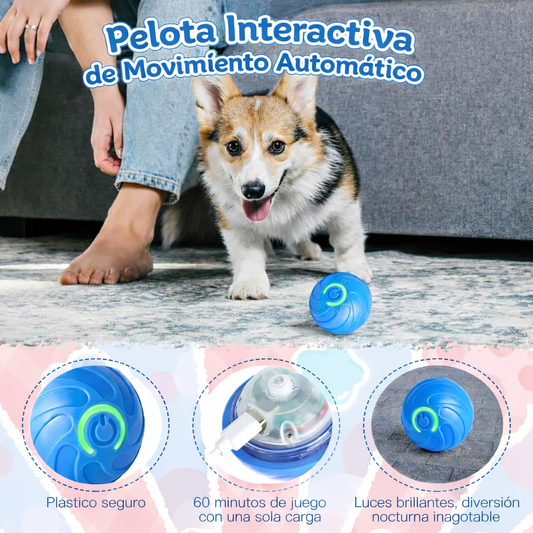 🐶 Interactive Anti-Boredom Dog Ball – Keep Your Pup Active & Happy